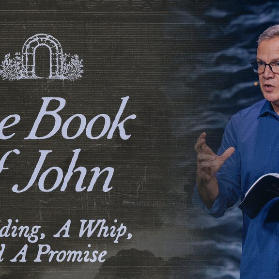 BOOK OF JOHN _ a wedding, a whip, and a promise (Thumbnail).JPG
